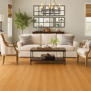Home Vinyl Flooring in Living Room